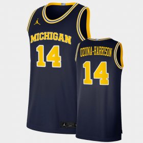 #14 Rico Ozuna-Harrison College Basketball University of Michigan 2021 Basketball Dri-FIT Swingman Men Navy Jersey 381263-415