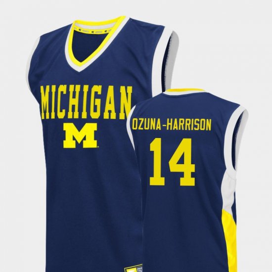 #14 Rico Ozuna-Harrison Fadeaway University of Michigan College Basketball Men Blue Jersey 229318-650