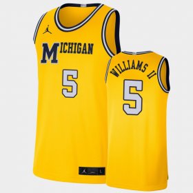 #5 Terrance Williams II Retro Limited Michigan Basketball Men Maize Jersey 327291-769