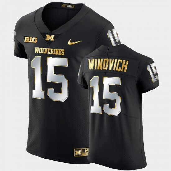 #15 Chase Winovich Golden Edition University of Michigan Alumni Mens Black Jersey 350782-204