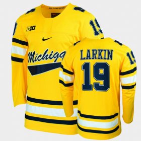 #19 Dylan Larkin College Hockey Michigan Alumni Mens Maize Jersey 516939-865