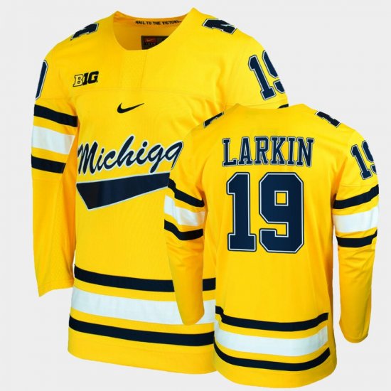 #19 Dylan Larkin College Hockey Michigan Alumni Mens Maize Jersey 516939-865