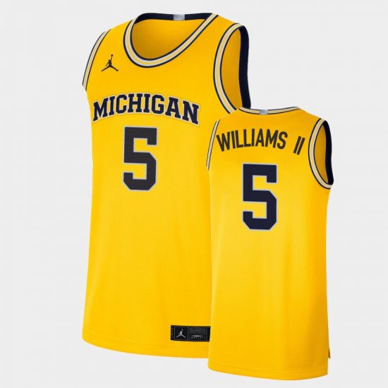 #5 Terrance Williams II Limited Michigan Men\'s Maize Jersey 779224-966