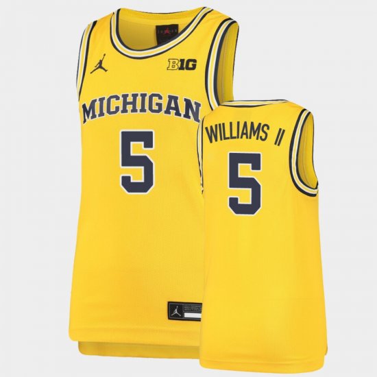 #5 Terrance Williams II Replica University of Michigan Basketball Youth Maize Jersey 844567-414